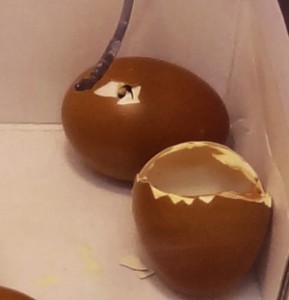 eggA